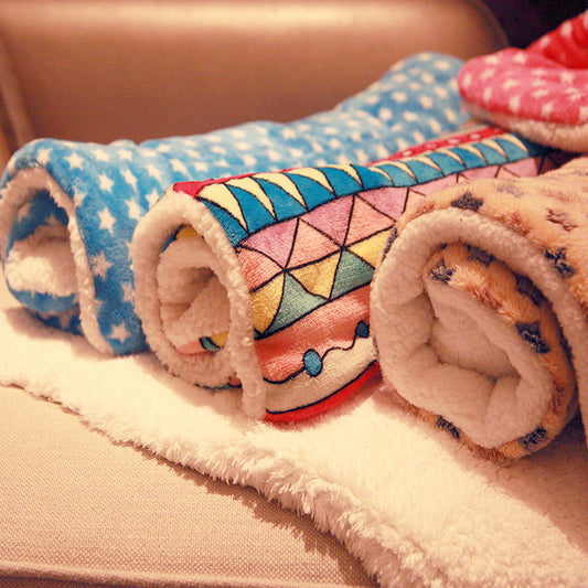 Pet Blanket & Mat