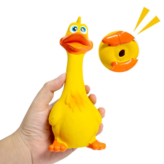 Squeaky Duck Chew Toy - 3 Pack
