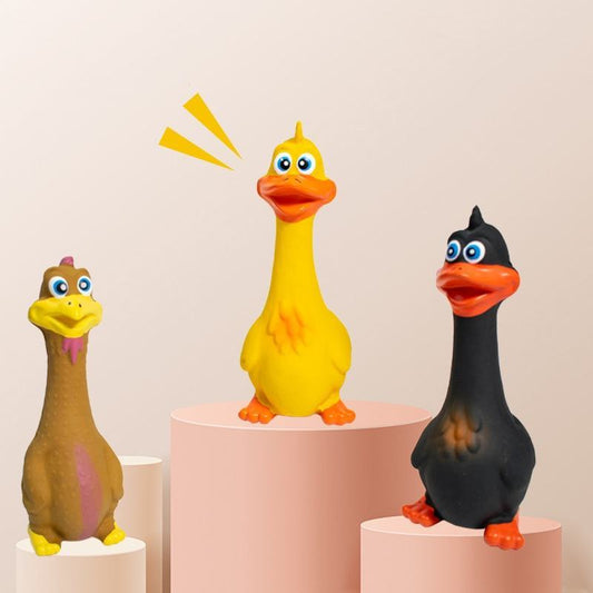 Squeaky Duck Chew Toy - 3 Pack