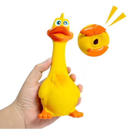Squeaky Duck Chew Toy